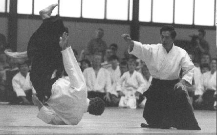 Asai Sensei